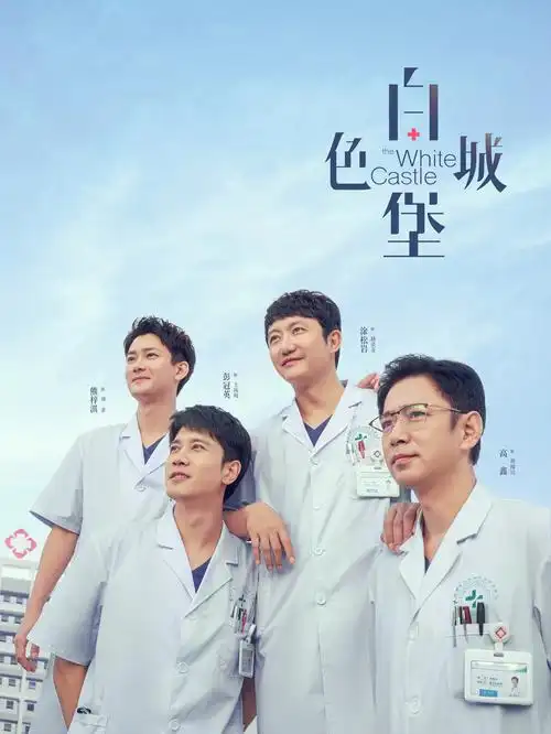 沉默的证词 热播电视剧全集